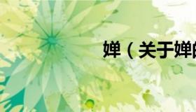 婵（关于婵的介绍）