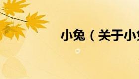 小兔（关于小兔的介绍）