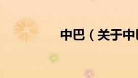 中巴（关于中巴的介绍）