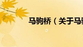马驹桥（关于马驹桥的介绍）