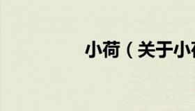 小荷（关于小荷的介绍）
