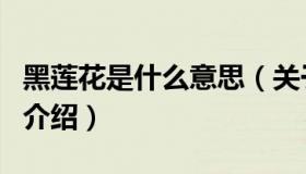 黑莲花是什么意思（关于黑莲花是什么意思的介绍）