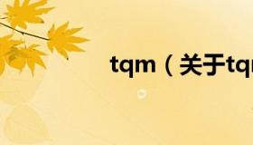 tqm（关于tqm的介绍）