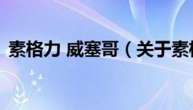 素格力 威塞哥（关于素格力 威塞哥的介绍）