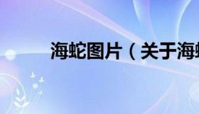 海蛇图片（关于海蛇图片的介绍）
