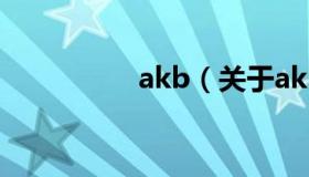 akb（关于akb的介绍）