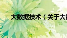 大数据技术（关于大数据技术的介绍）