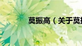莫振高（关于莫振高的介绍）