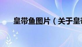 皇带鱼图片（关于皇带鱼图片的介绍）
