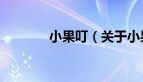 小果叮（关于小果叮的介绍）