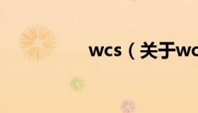 wcs（关于wcs的介绍）