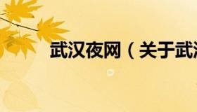 武汉夜网（关于武汉夜网的介绍）