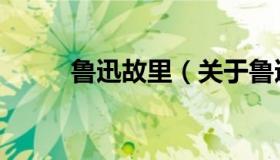 鲁迅故里（关于鲁迅故里的介绍）
