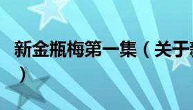 新金瓶梅第一集（关于新金瓶梅第一集的介绍）