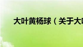 大叶黄杨球（关于大叶黄杨球的介绍）