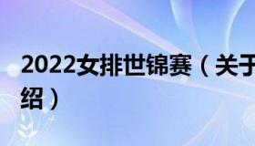 2022女排世锦赛（关于2022女排世锦赛的介绍）