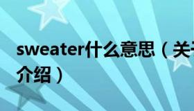 sweater什么意思（关于sweater什么意思的介绍）