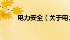 电力安全（关于电力安全的介绍）