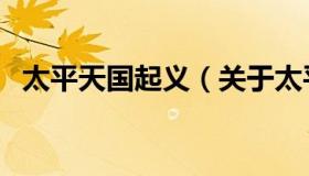 太平天国起义（关于太平天国起义的介绍）