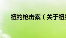 纽约枪击案（关于纽约枪击案的介绍）