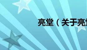 亮堂（关于亮堂的介绍）