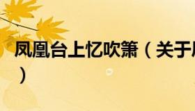 凤凰台上忆吹箫（关于凤凰台上忆吹箫的介绍）