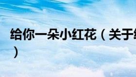 给你一朵小红花（关于给你一朵小红花的介绍）
