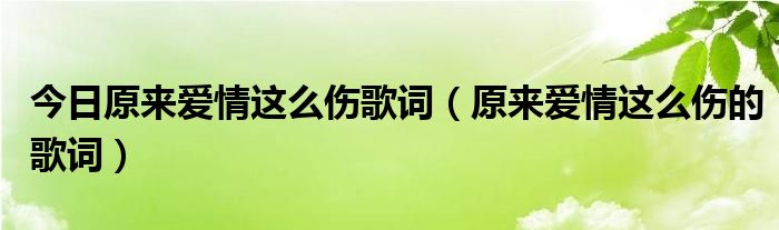 今日原来爱情这么伤歌词（原来爱情这么伤的歌词）