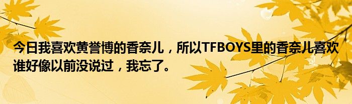 今日我喜欢黄誉博的香奈儿，所以TFBOYS里的香奈儿喜欢谁好像以前没说过，我忘了。