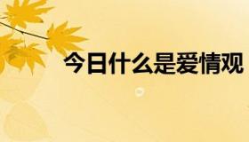 今日什么是爱情观（什么是爱情）