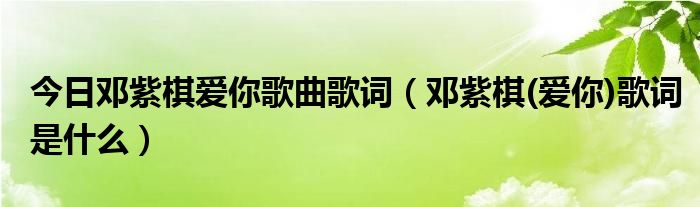 今日邓紫棋爱你歌曲歌词（邓紫棋(爱你)歌词是什么）