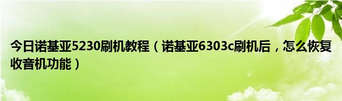 今日诺基亚5230刷机教程（诺基亚6303c刷机后，怎么恢复收音机功能）