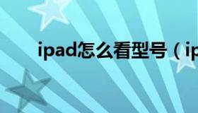 ipad怎么看型号（ipad怎么看型号）