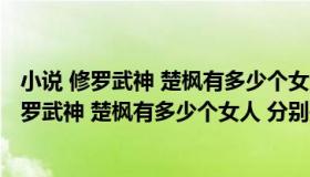 小说 修罗武神 楚枫有多少个女人 分别是谁扮演的（小说 修罗武神 楚枫有多少个女人 分别是谁）
