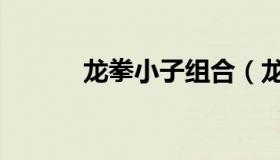 龙拳小子组合（龙拳小子组合）