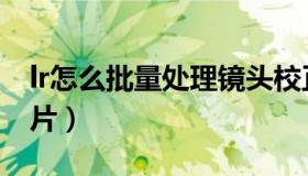 lr怎么批量处理镜头校正（lr怎么批量处理照片）