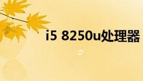 i5 8250u处理器（i5 8250u）