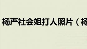 杨严社会姐打人照片（杨严社会姐打架视频）