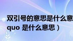 双引号的意思是什么意思（ldquo 双引号 rdquo 是什么意思）