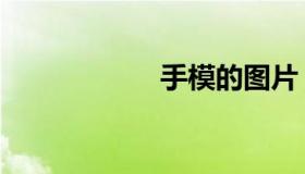 手模的图片（手模）