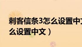 刺客信条3怎么设置中文字幕（刺客信条3怎么设置中文）