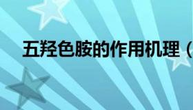 五羟色胺的作用机理（五羟色胺的作用）