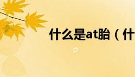 什么是at胎（什么是a受体）