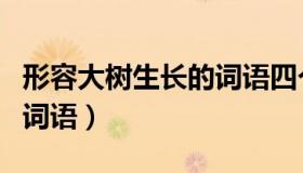 形容大树生长的词语四个字（形容大树生长的词语）