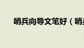 哨兵向导文笔好（哨兵向导文是什么）