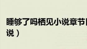 睡够了吗栖见小说章节目录（睡够了吗栖见小说）