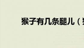 猴子有几条腿儿（猴子有几条腿）