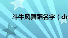 斗牛风舞蹈名字（dnf稳定免费辅助）