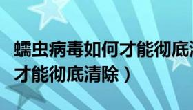 蠕虫病毒如何才能彻底清除掉（蠕虫病毒如何才能彻底清除）