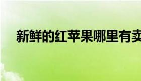 新鲜的红苹果哪里有卖（新鲜的红苹果）